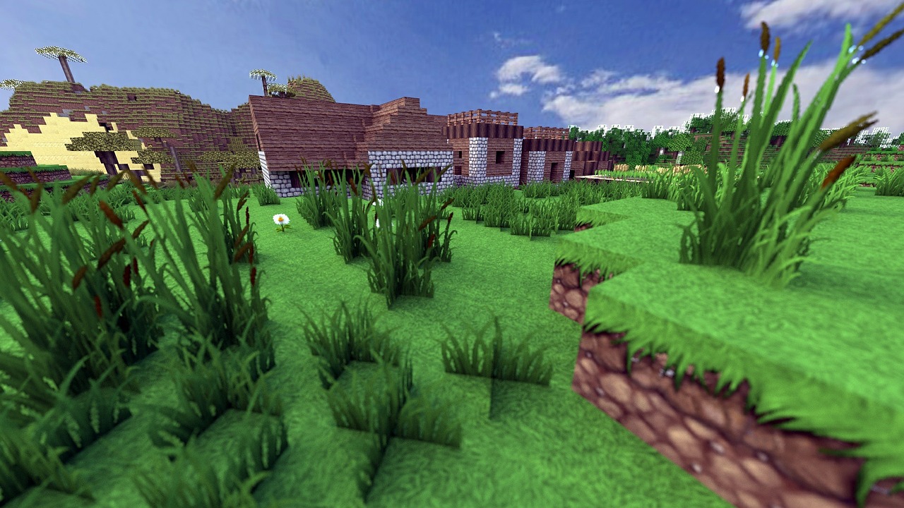 Minecraft Starter House