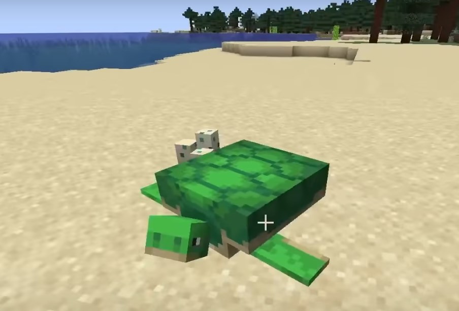 a turtle in Minecraft