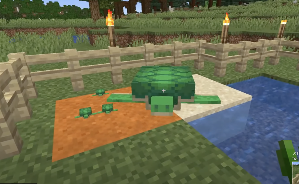 a turtle in Minecraft