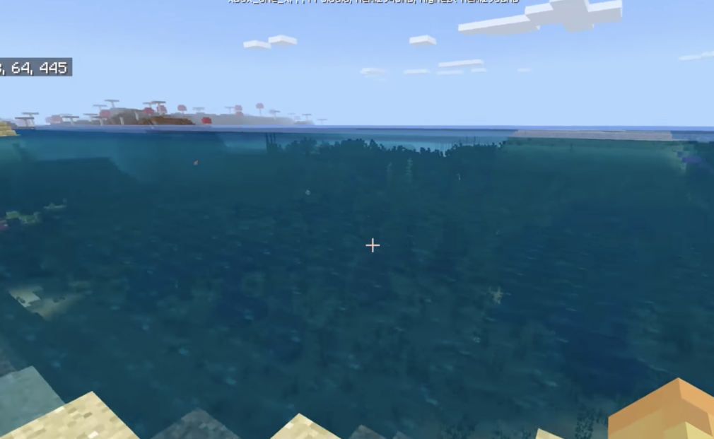 Swimming in Minecraft